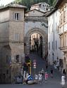 IMG_1509 copy